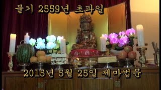 불기 2559년 초파일 제마법회 [제마방송]