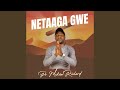 Netaaga Gwe