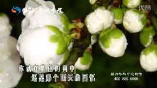 汪峰 - 雨天的回忆.flv