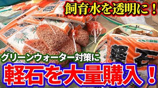 赤玉土よりもコスパがいい、軽石を使って飼育水を透明にする！