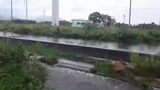 Neduvayal பாரக்கிரம பாண்டியன் அணை...