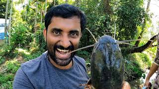 നാട്ടിൻപുറത്തെ മീൻ പിടുത്തം | Village fishing