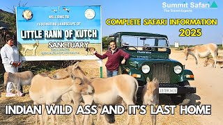 Little Rann Of Kutch Wild Ass Sanctuary Safari