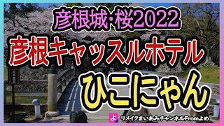 【彦根城】彦根城桜2022年春とひこにゃん、彦根キャッスルホテル