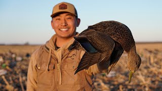 Once in a Lifetime Rare Black Duck Hunt! (OUR CRAZIEST HUNT EVER)