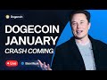 DOGECOIN: Elon Musk’s about DOGE  — January Crash Coming? 🚨 Q&A / Pump & Price