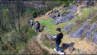 实拍贵州农村真实存在的田园风光，看哭了