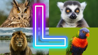 L is for Love: Adorable Animals and Birds Starting with L