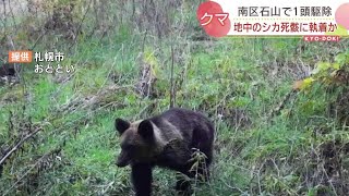 先月から15回の目撃情報…クマ１頭を駆除　ホッとする住民とクマに同情する住民　札幌市南区