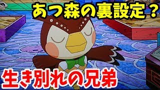 【とび森】フータを裏技でクビにしたら図書館が大変なことになった【とびだせ どうぶつの森 amiibo+ 実況プレイ】