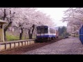 【桜満開のと鉄道】能登鹿島駅－能登さくら駅－【april 24 2012】