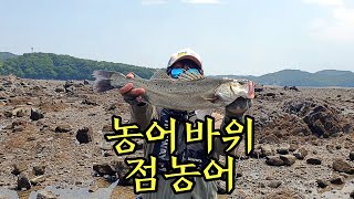 Sea Bass fishing spot near Seoul