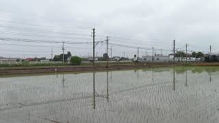 田んぼに映るSLパレオエクスプレス　下り(三峰口行き)　秩父鉄道大麻生～明戸間　2022.6.11