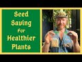 Seed Saving For Better Plants - From Beginner To Expert - Everything You Need To Know