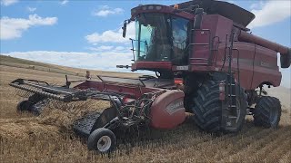 Week 5 Finishing The Wheat Harvest.