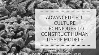 Advanced cell culture techniques to construct human tissue models | REPROCELL Webinar Series