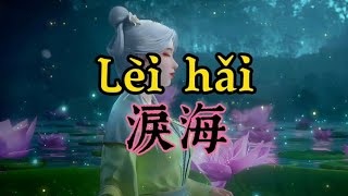 LEI HAI - 淚海 #tz88 #chinesesong #chineselovesong #pinyinlyrics #mandarinsong