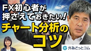 FX初心者が押さえておきたい！「チャート分析のコツ」【FX脱初心者塾】