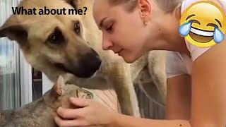 Funniest Animals| The Funny Reactions of Jealous Dogs| The Pet Zone