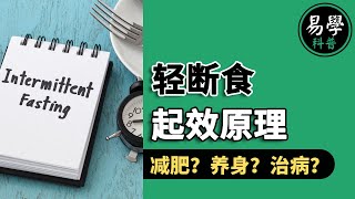 【轻断食 / 间歇性断食】为什么适当挨饿会有益健康，缓解多种疾病？