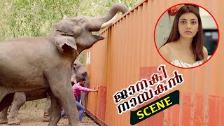Janaki Nayakan Malayalam Movie Scenes | Elephant Help Bellamkonda Srinivas To Move Container