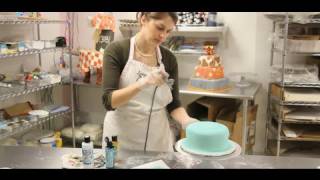 How to Airbrush a Cake | Cake Decorations