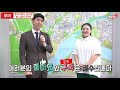 성동구 대장 옥수동 아파트 준강남권 입지임에도 아직도 저평가 투미tv