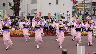 阿波鳴連  はなはるフェスタ2019  藍場浜公園演舞場  4.21(日) 徳島阿波おどり