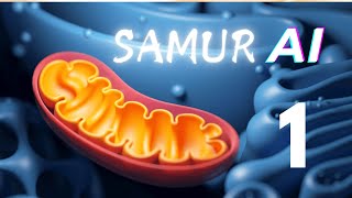 Samur-AI 1. Unlocking Glaucoma  The Role of Oxidative Stress