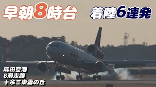 【4K】成田空港 十余三東雲の丘 早朝8時台の着陸する飛行機６連発