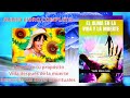 EL ALMA EN LA VIDA Y LA MUERTE (AUDIO LIBRO COMPLETO) Yeslin Matos