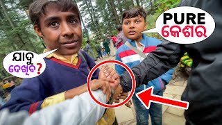 🤬Got scammed in MANALI ‼️ଏଠି ଛୋଟ ଛୁଆ ବି ଗାଡି ମାରିନେବେ | EP-21