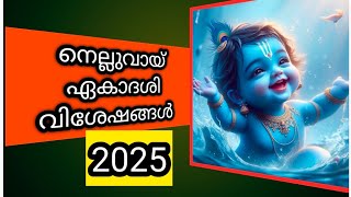 നെല്ലുവായ് ഏകാദശി വിശേഷങ്ങൾ #vishnumayavinod #vinodvishnumaya #ammamadam #shorts