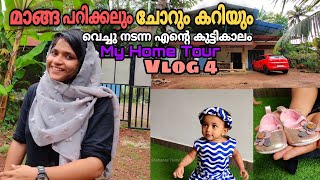 മതിൽ ചാട്ടവും ചോറും കറിയും വെച്ച് നടന്ന ഒരു ബാല്യം എനിക്കുമുണ്ടായിരുന്നു | My Home Tour |  Vlog5