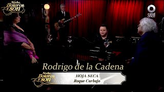 Hoja Seca - Rodrigo De La Cadena - Noche, Boleros y Son