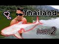 Thailand MONSTERS Part 2 - BurntFish Angling Episode 11