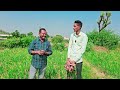 लाल कांद्यात ९० दिवसांत मिळवा अशी फुगवण । doctor_kisan लागवड रोपे onion प्याज़ बाजारभाव farm।