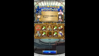 FFRK】Ⅷ記念日ガチャはやったお」からのチケ2枚はﾌﾞﾙｽｶ【レコパ