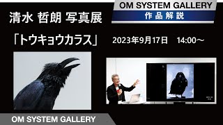 【写真展作品解説】清水哲朗写真展 トウキョウカラス　2023.9.17