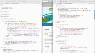 WordPress Tutorial: Customizing Containers 1/6 [HTML2WP screencast]