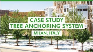 Platipus Case Study - Tree Anchoring System - Milan, Italy