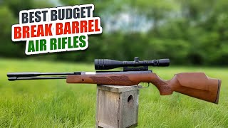 Best Budget Break Barrel Air Rifles - Madman Review