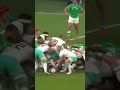 South Africa vs Ireland 2024 cheslin  kolbe try  #shorts  #viralvideo #springbok #rugby