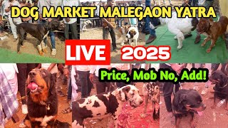 मालेगाव यात्रा कुत्र्याचा बाजार 🔥| dog market Malegaon | malegaon yatra 2025 | Nanded