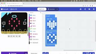 1 Beating Heart Microbit Tutorial