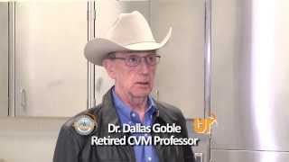 40th Anniversary of UT College of Veterinary Medicine: Retiree's Perspective