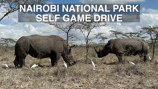 Self Game drive | Nairobi National Park | Safari adventure #travel #africa #lifestyle #kenya