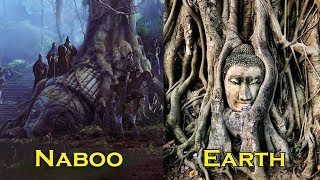 All the Buddhist Influences in Star Wars