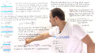 Measuring the Electrochemical Gradient