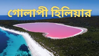 গোলাপী হিলিয়ার || Lake Hillier || Ojana Golopo Bangla #ojanagolpo #factbangla #lakehillier #ytvideo